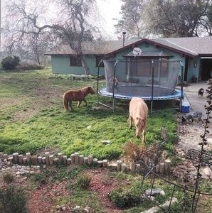 Meet your Posher, Elinorharlow